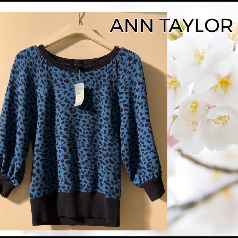 NWT Ann Taylor Sweater Top